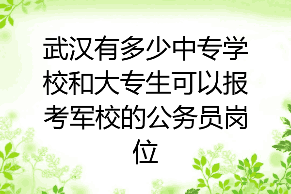 武汉有多少中专学校和大专生可以报考军校的公务员岗位