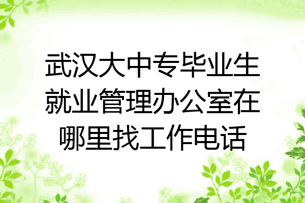 武汉大中专毕业生就业管理办公室在哪里找工作电话