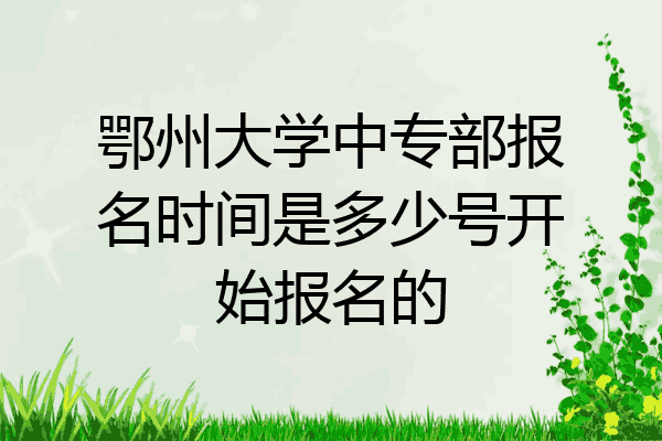鄂州大学中专部报名时间是多少号开始报名的