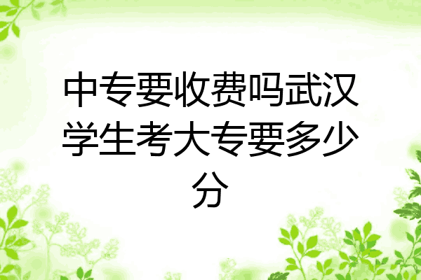 中专要收费吗武汉学生考大专要多少分