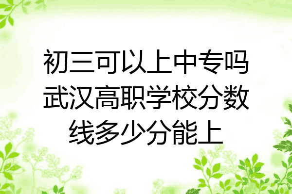 初三可以上中专吗武汉高职学校分数线多少分能上
