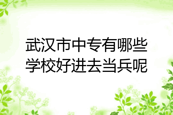 武汉市中专有哪些学校好进去当兵呢