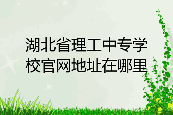湖北省理工中专学校官网地址在哪里