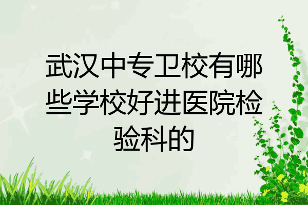 武汉中专卫校有哪些学校好进医院检验科的