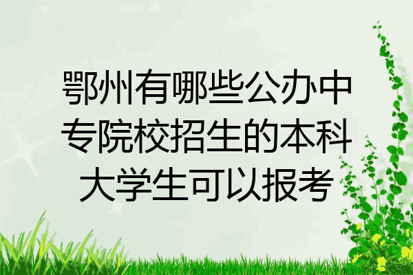 鄂州有哪些公办中专院校招生的本科大学生可以报考
