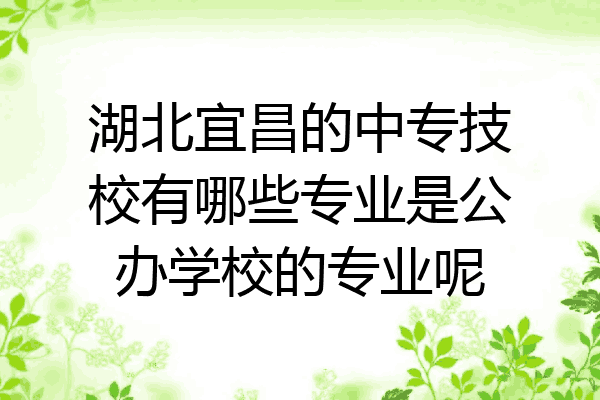湖北宜昌的中专技校有哪些专业是公办学校的专业呢