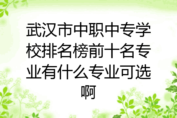 武汉市中职中专学校排名榜前十名专业有什么专业可选啊
