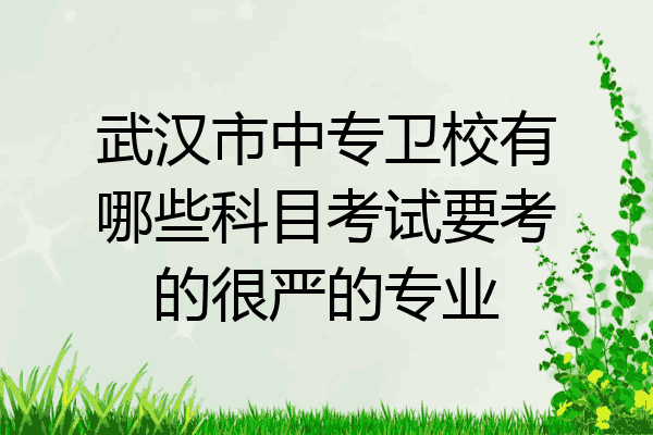 武汉市中专卫校有哪些科目考试要考的很严的专业
