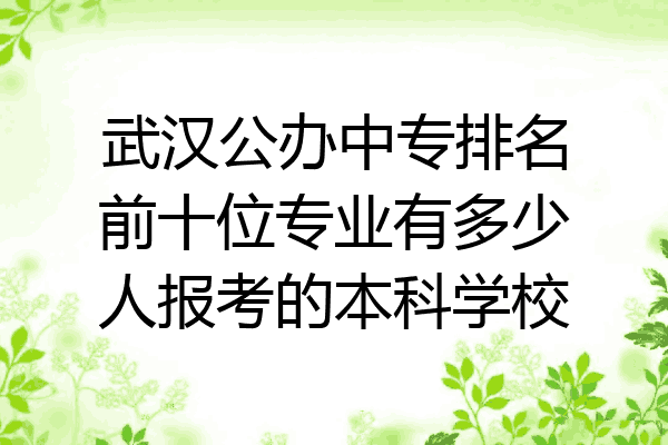 武汉公办中专排名前十位专业有多少人报考的本科学校