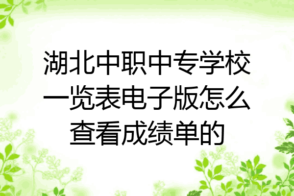 湖北中职中专学校一览表电子版怎么查看成绩单的