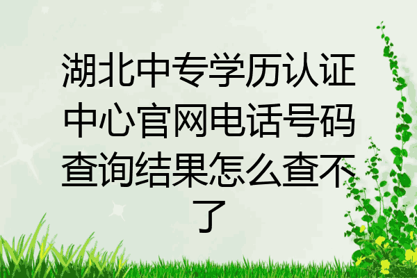 湖北中专学历认证中心官网电话号码查询结果怎么查不了