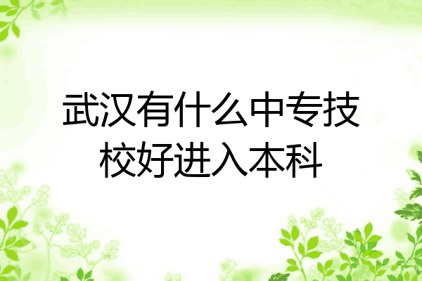 武汉有什么中专技校好进入本科