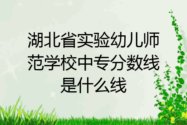 湖北省实验幼儿师范学校中专分数线是什么线