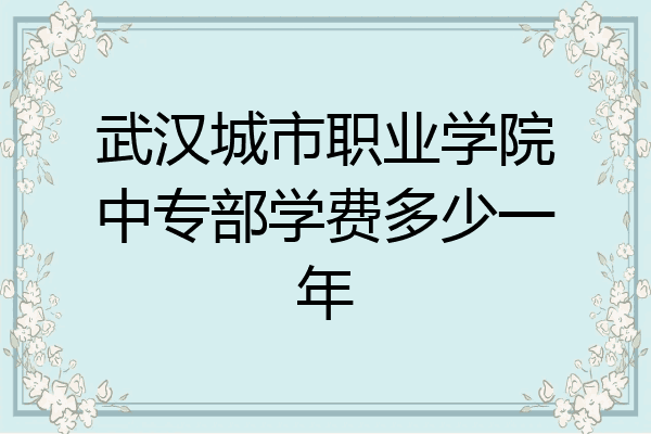 武汉城市职业学院中专部学费多少一年