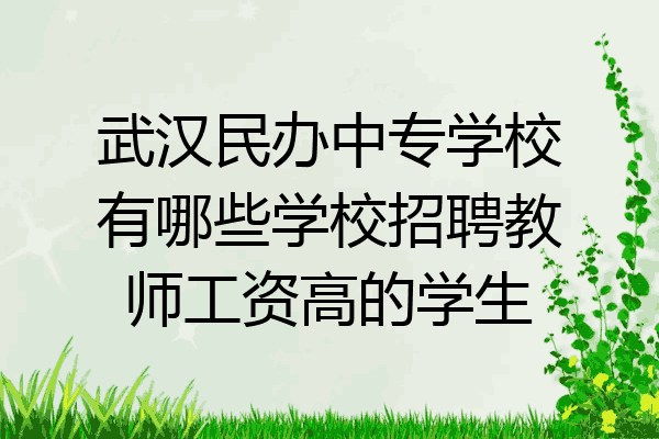 武汉民办中专学校有哪些学校招聘教师工资高的学生