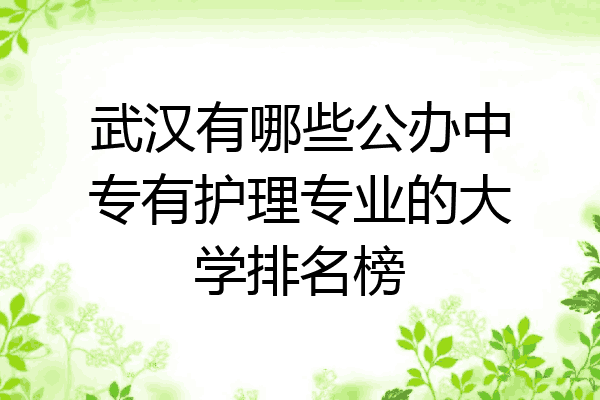 武汉有哪些公办中专有护理专业的大学排名榜