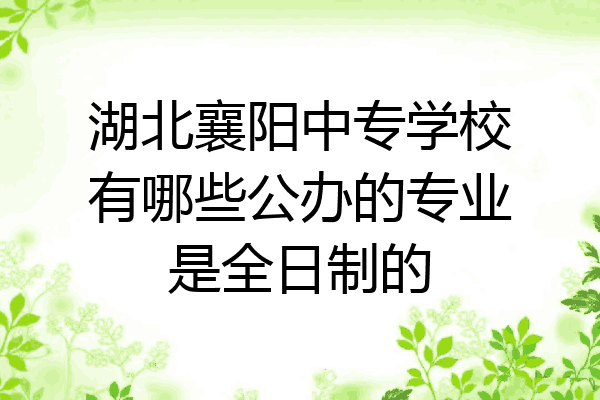湖北襄阳中专学校有哪些公办的专业是全日制的