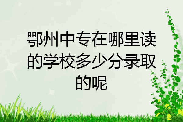 鄂州中专在哪里读的学校多少分录取的呢