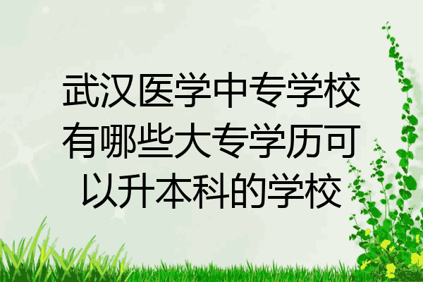 武汉医学中专学校有哪些大专学历可以升本科的学校