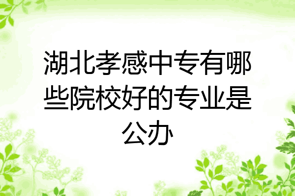 湖北孝感中专有哪些院校好的专业是公办