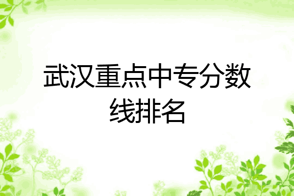 武汉重点中专分数线排名