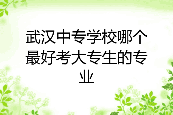 武汉中专学校哪个最好考大专生的专业