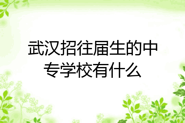 武汉招往届生的中专学校有什么