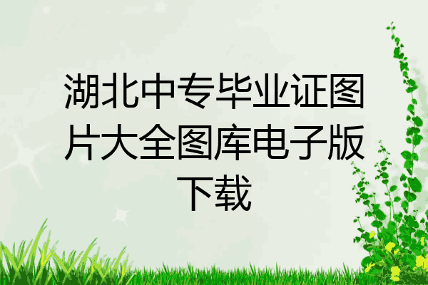湖北中专毕业证图片大全图库电子版下载