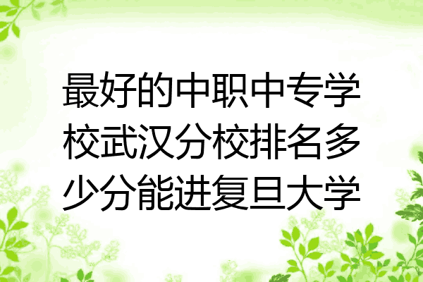最好的中职中专学校武汉分校排名多少分能进复旦大学