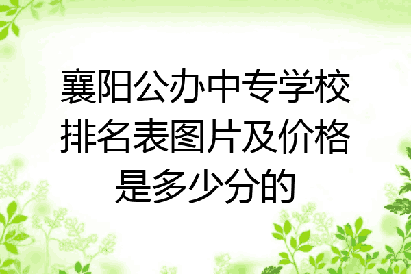 襄阳公办中专学校排名表图片及价格是多少分的