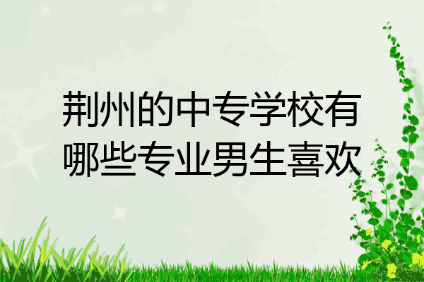 荆州的中专学校有哪些专业男生喜欢
