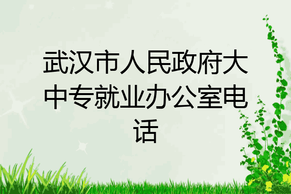 武汉市人民政府大中专就业办公室电话