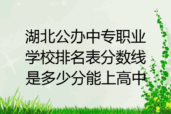 湖北公办中专职业学校排名表分数线是多少分能上高中
