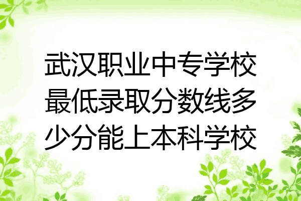 武汉职业中专学校最低录取分数线多少分能上本科学校