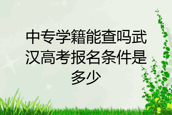 中专学籍能查吗武汉高考报名条件是多少