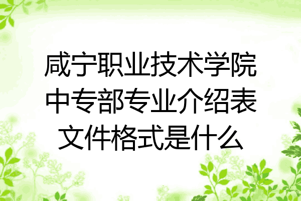 咸宁职业技术学院中专部专业介绍表文件格式是什么