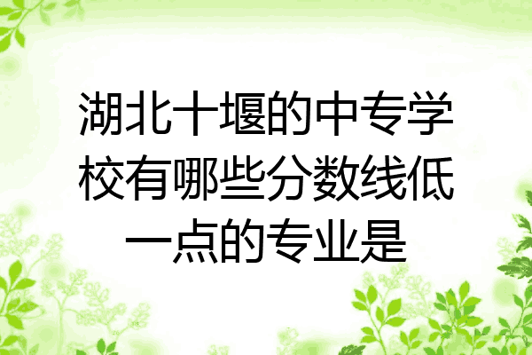 湖北十堰的中专学校有哪些分数线低一点的专业是