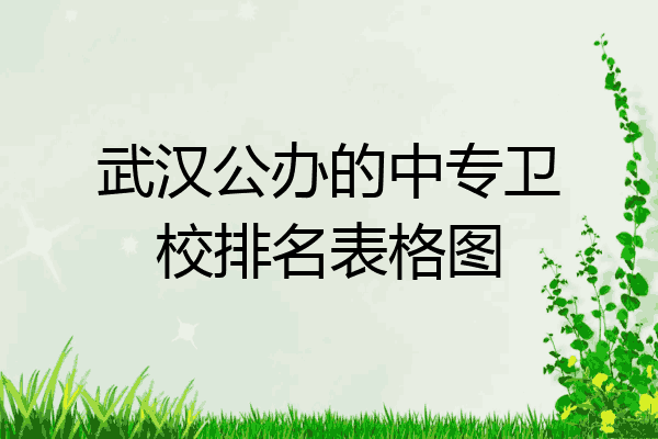 武汉公办的中专卫校排名表格图