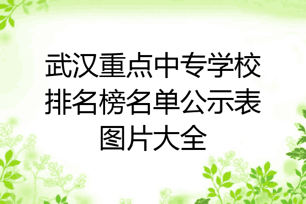 武汉重点中专学校排名榜名单公示表图片大全