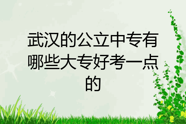 武汉的公立中专有哪些大专好考一点的