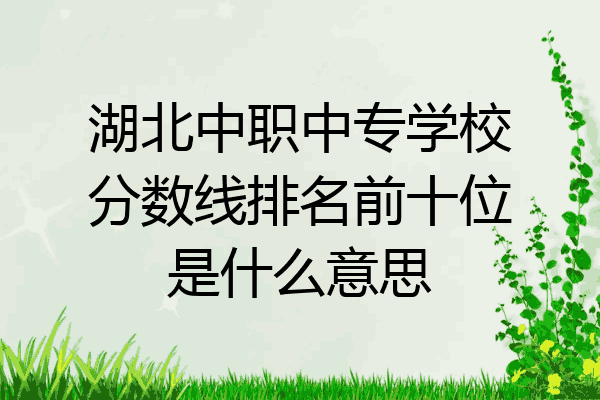 湖北中职中专学校分数线排名前十位是什么意思