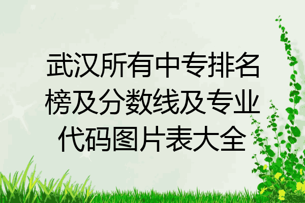 武汉所有中专排名榜及分数线及专业代码图片表大全