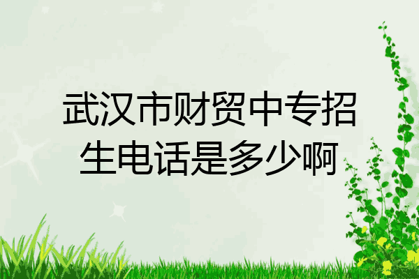 武汉市财贸中专招生电话是多少啊