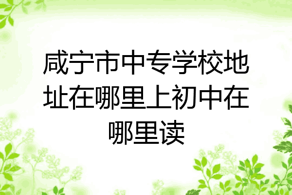 咸宁市中专学校地址在哪里上初中在哪里读