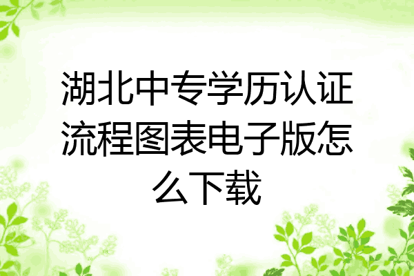 湖北中专学历认证流程图表电子版怎么下载