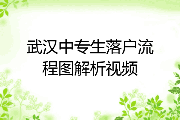 武汉中专生落户流程图解析视频