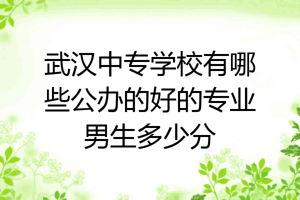 武汉中专学校有哪些公办的好的专业男生多少分