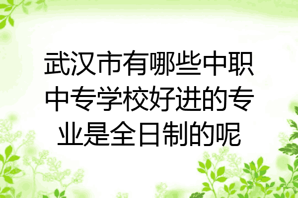 武汉市有哪些中职中专学校好进的专业是全日制的呢