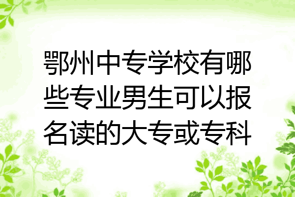 鄂州中专学校有哪些专业男生可以报名读的大专或专科