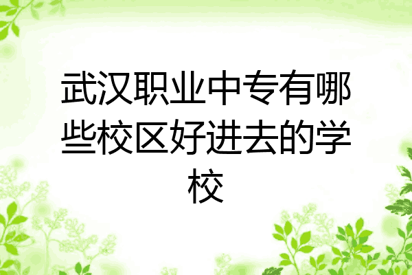 武汉职业中专有哪些校区好进去的学校